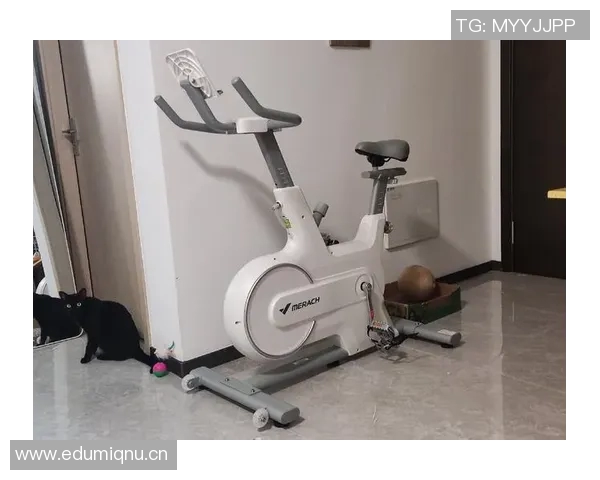 消耗卡路里健身器材排行榜健身目标更清晰